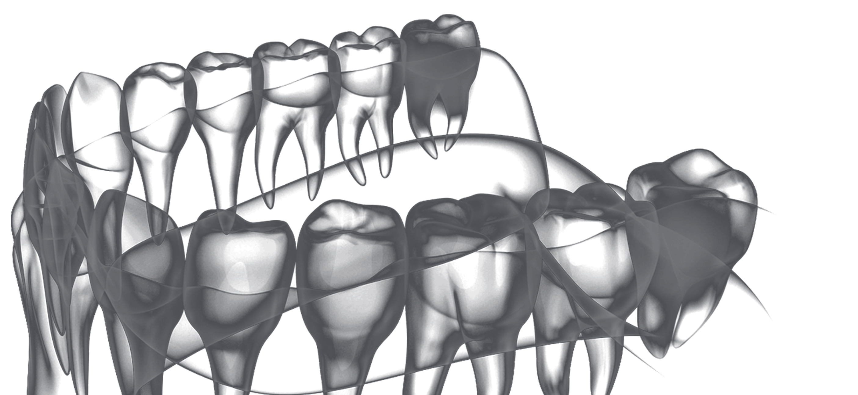Denti ai ai for dental x ray imaging and voice charting